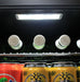 70 L Blue Tooth Speaker Disco Bar Fridge - Beer Branded showing the top led light