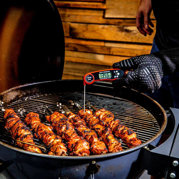 Waterproof Digital Thermometer | using the thermometer on kebabs