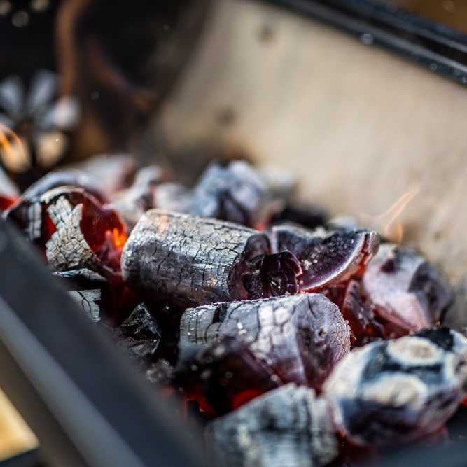 Gidgee Charcoal for BBQ Grill and Rotisserie | Chunky 19 kg